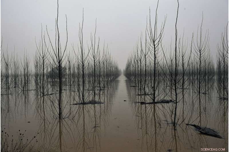 UN Climate Report Highlights Growing Human Suffering: A Call to Action