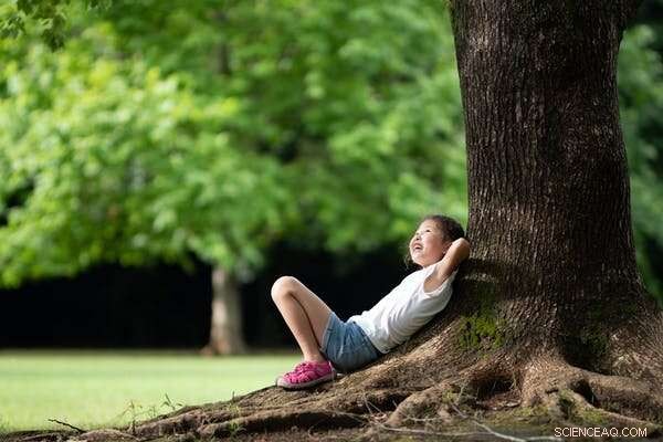 IPCC Urges Immediate Action: This Decade Is Key to Adapt to Climate Change and Rising Costs