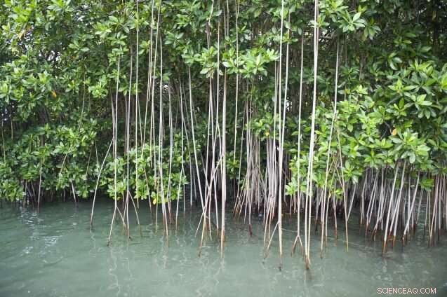 IPCC Sixth Assessment: Latest Insights on Climate Impacts, Adaptation, and Vulnerability