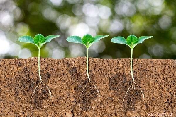 Unveiling the Invisible: How Sound Unlocks Hidden Dimensions of Our World