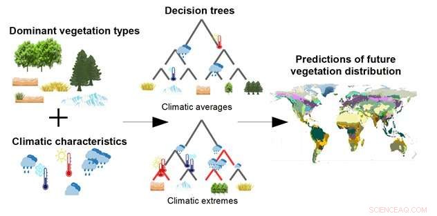 Machine Learning Pinpoints Climate Thresholds Guiding Natural Vegetation Distribution