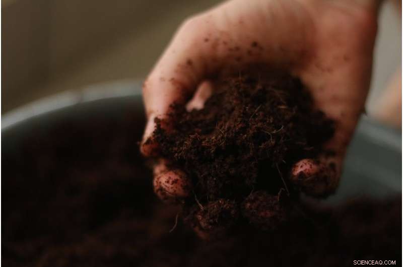 Scientists Reveal Final Results of Tonawanda Coke Soil Contamination Study