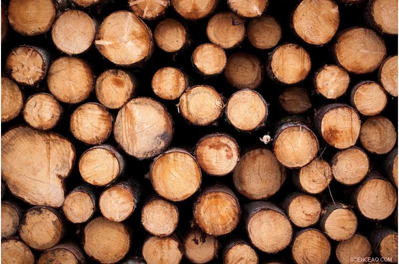 Revised European Forest Harvesting Figures: A New Empirical Study Corrects 2020 Nature Estimates