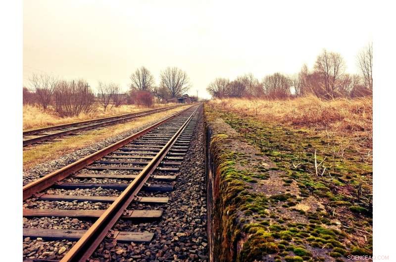 New Study Exposes Hidden Carbon Footprint of Transport Infrastructure