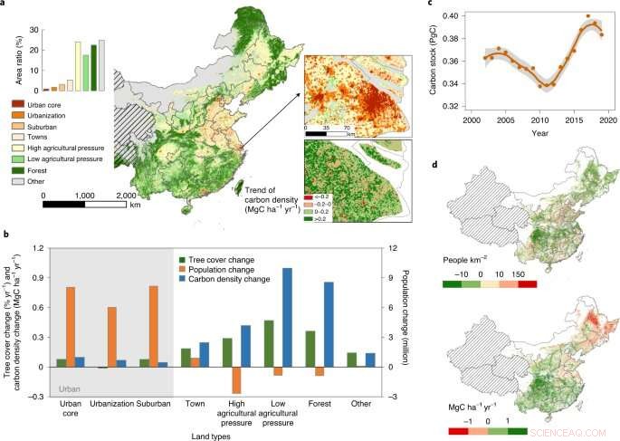 Urban Migration Boosts China s Carbon Stock: 290 Million New City Residents Aid Climate Balance
