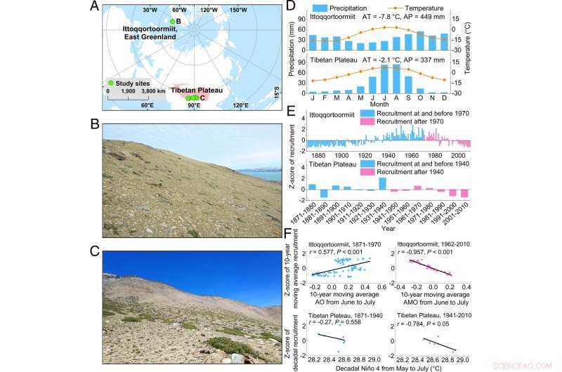 Climate Change Suppresses Shrub Recruitment in the Arctic and Tibetan Plateau