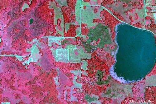 Sky-borne Spectroscopy Reveals Hidden Underground Ecosystems