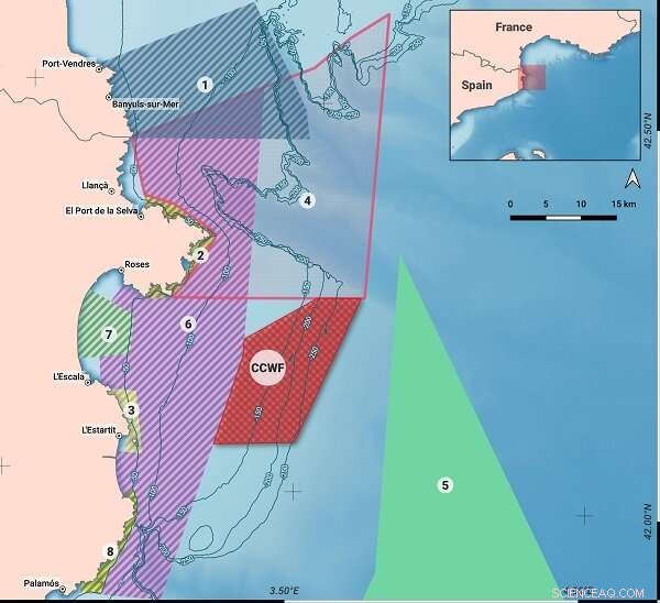 New Study Urges Relocating Offshore Wind Farms from Mediterranean Protected Zones
