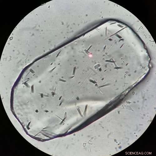 Researchers Reveal How the Massive Cauca River Canyon in the Tropical Andes Formed