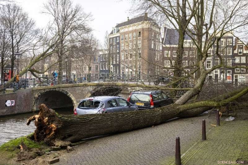 Storm Eunice: Nine Fatalities as Record‑Breaking Winds Sweep Europe