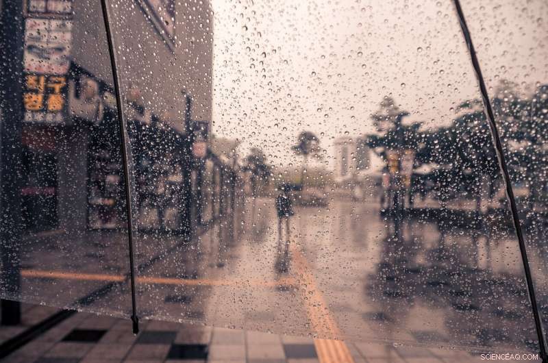 Shorter Rainy Seasons Prompt Earlier Spring in Northern Climates
