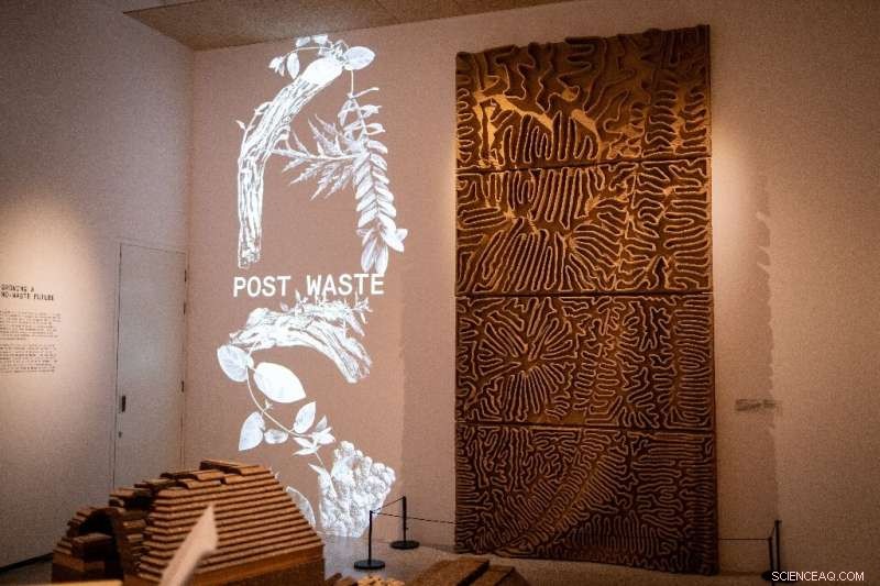 From Trash to Treasure: UK Turns Waste into Innovative Products