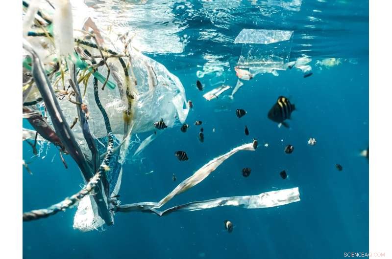 Global Plastic Treaty at Risk of Weakening – New Zealand Must Take a Stand