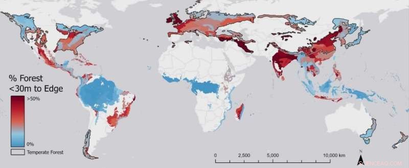 New Study Reveals Urban Trees & Soil Capture More Carbon Than Expected