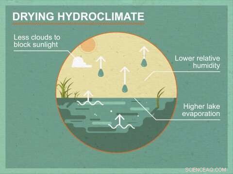 Projected Shifts in Lake Evaporation Patterns Under Climate Change