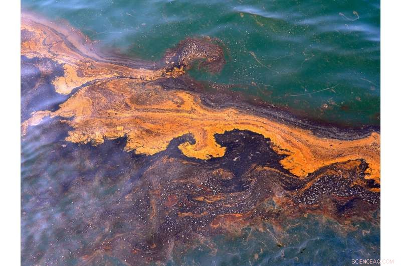 Sunlight Accelerates Dissolution of Oil in Seawater, Study Finds