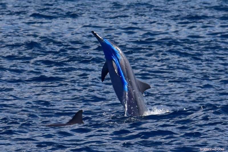 Study Finds Plastic & Chemical Pollution Exceeds Planetary Safe Limits – Urgent Production Caps Needed