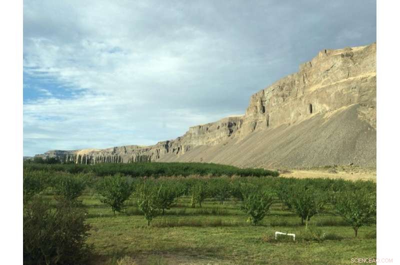 Crustal Tilt Guided Ancient Missoula Megafloods