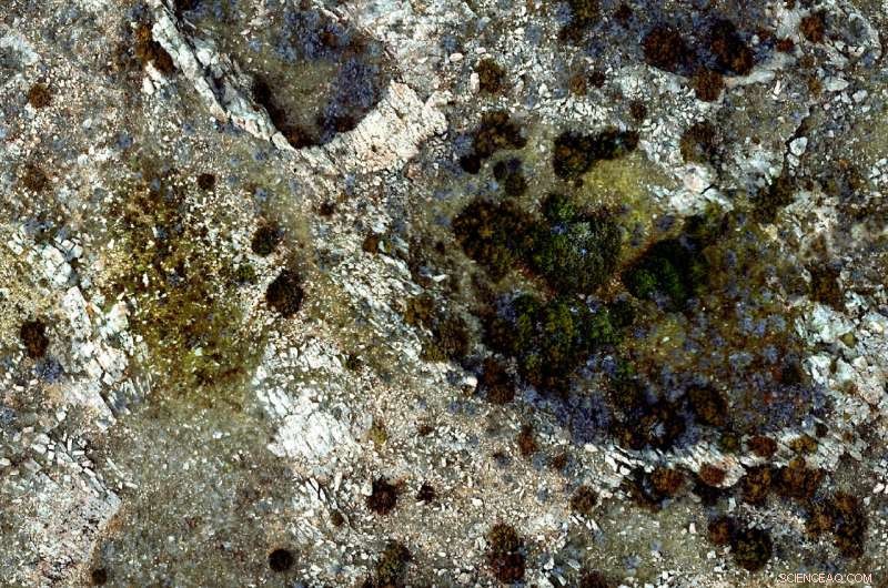 Wyoming Impact Crater Field: 280‑Million‑Year‑Old Secondary Cratering Revealed