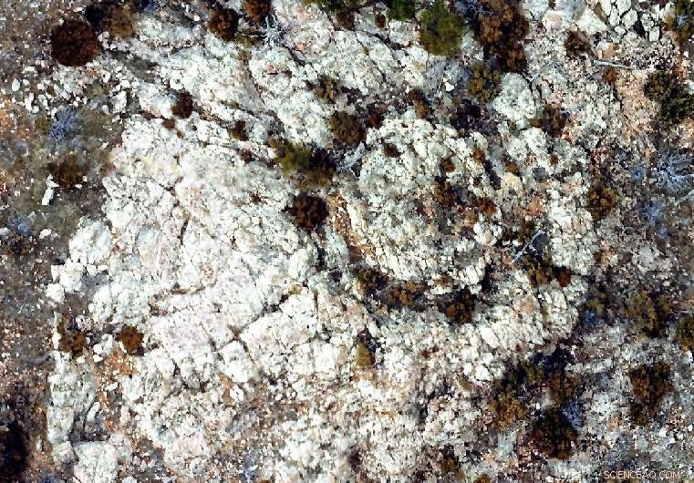 Wyoming Impact Crater Field: 280‑Million‑Year‑Old Secondary Cratering Revealed