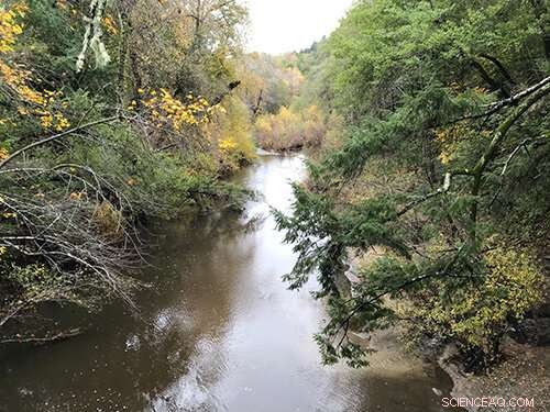 How Early Logging Shaped the San Lorenzo River in the Santa Cruz Mountains