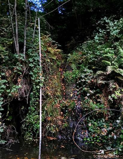 How Early Logging Shaped the San Lorenzo River in the Santa Cruz Mountains