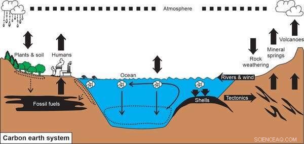 Oceans Outperform Trees in Carbon Storage: How Future Ocean Sinks Could Stabilize Climate