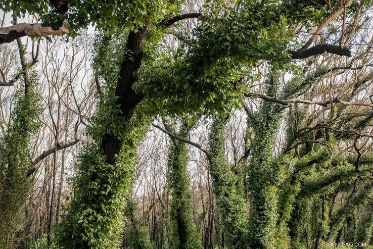 Survivors Feel Prepared, Yet Many Are Left Out of Disaster Planning