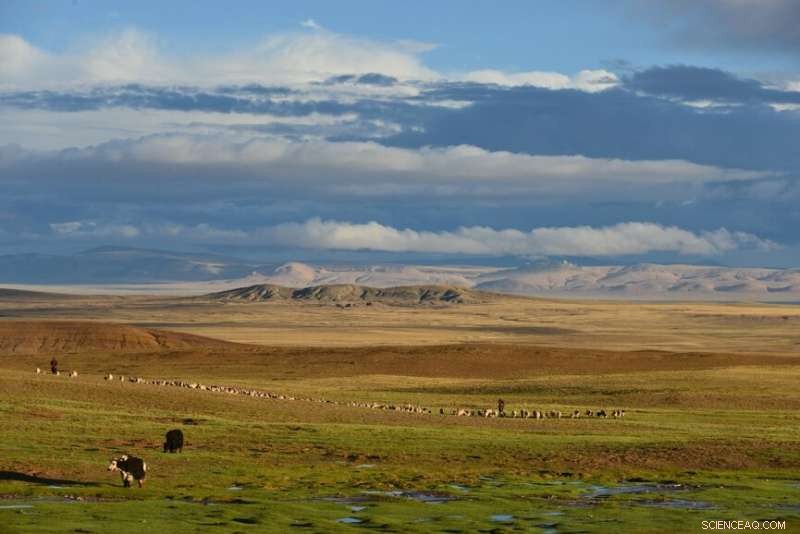 New Study Traces the Formation of the Central Tibetan Valley