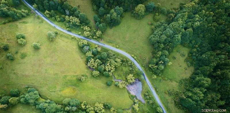 Canada Must Reduce Carbon Emissions, Not Rely on Capture Technology