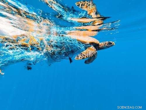 Robotic Innovations & Marine Raptors Unite to Combat Ocean Plastic Pollution