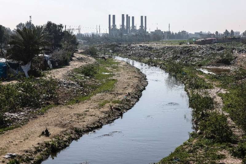 UNDP Launches $66M, 10-Year Initiative to Clean Gaza Valley Wetlands, Establishing First Nature Reserve