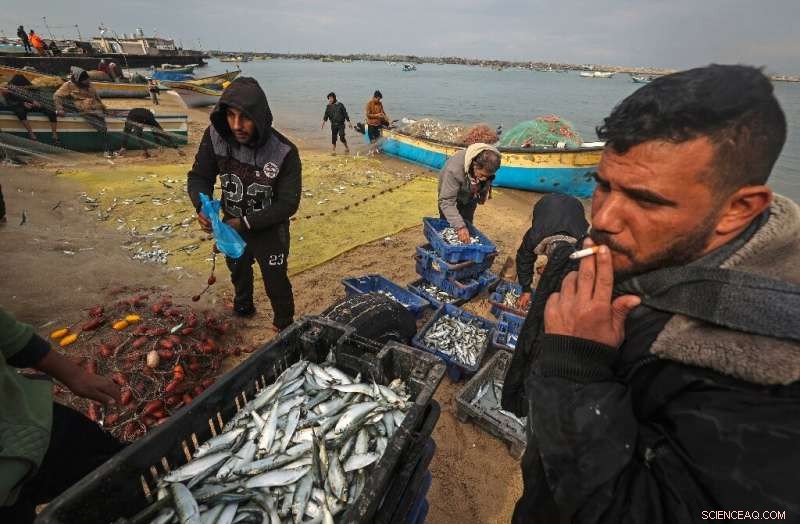 UNDP Launches $66M, 10-Year Initiative to Clean Gaza Valley Wetlands, Establishing First Nature Reserve
