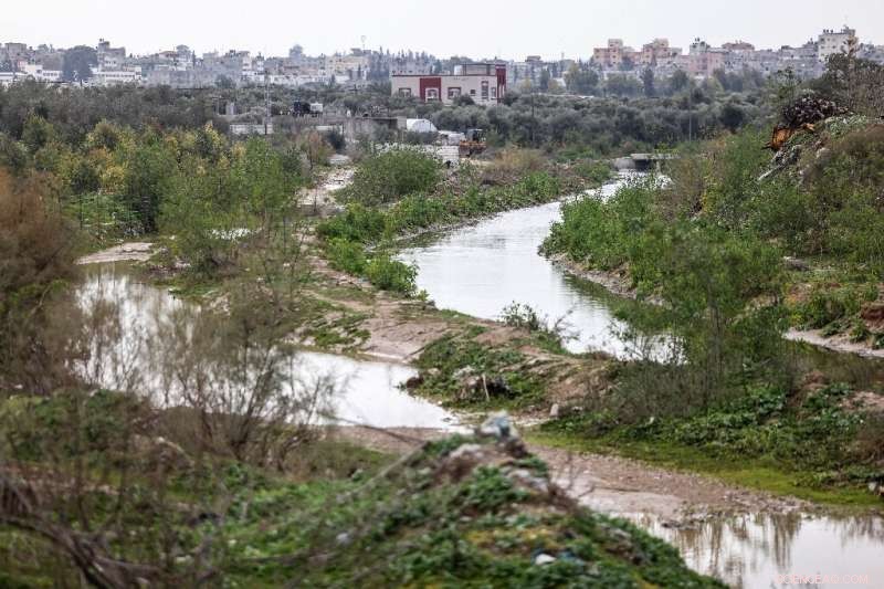 UNDP Launches $66M, 10-Year Initiative to Clean Gaza Valley Wetlands, Establishing First Nature Reserve