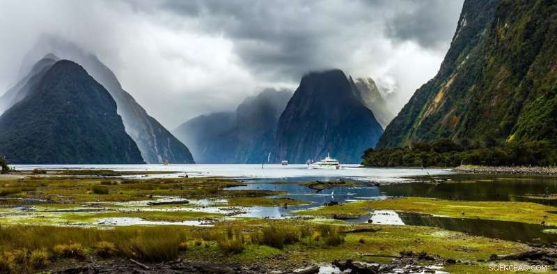 New Zealand to Modernize Conservation Laws: A Fresh Approach to Public Engagement