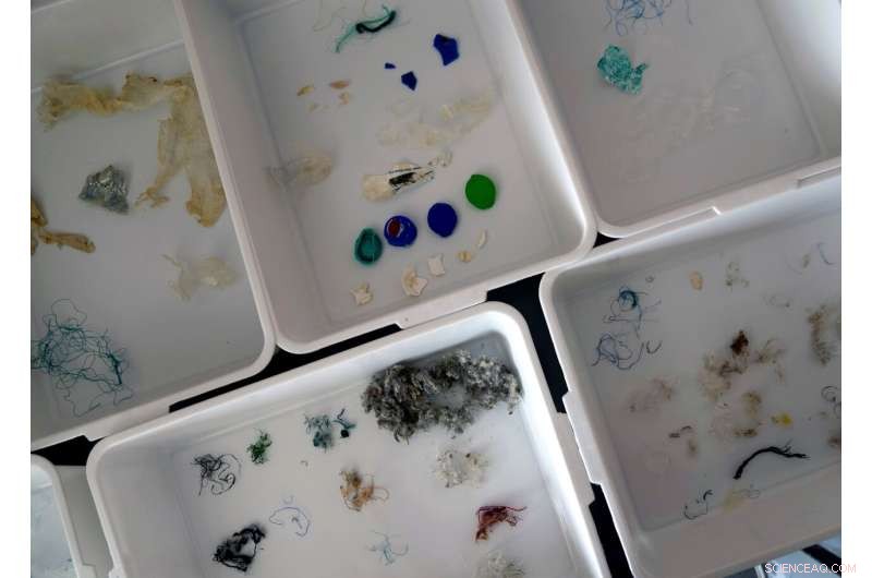 Oceans Face Decades-Long Rise in Plastic Pollution: Impacts and Solutions