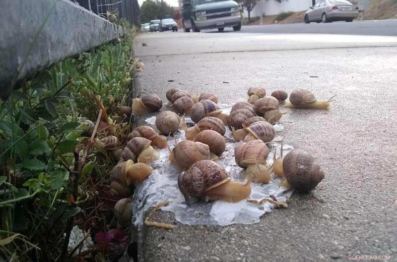 Determining Accountability for Roadside Rubbish