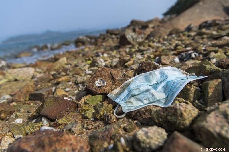 Discarded Surgical Masks Endanger Marine Life and the Food Chain