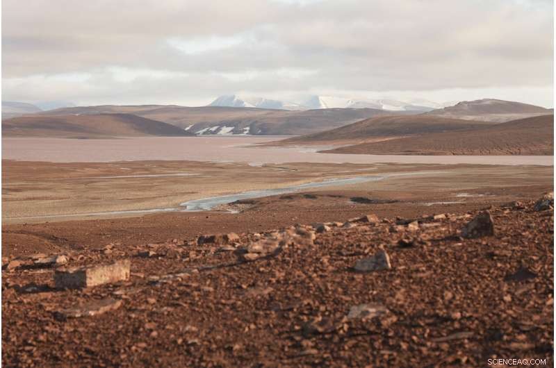 Arctic Winter Warming Sparks Unexpected Cold Damage in East Asia’s Subtropics