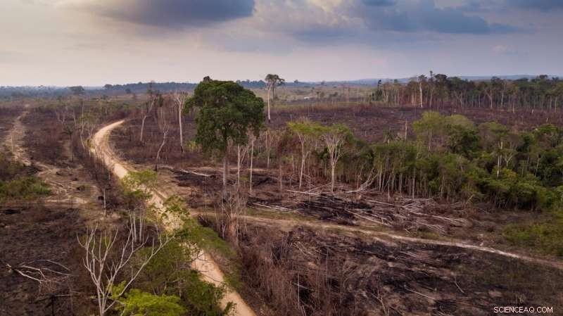 Peatland Fires’ Carbon Impact Significantly Underestimated—By 200–300%