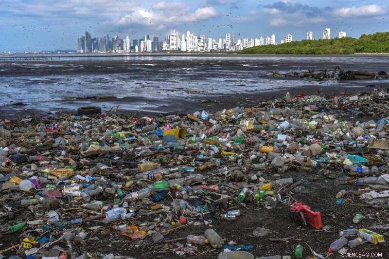 WWF Urges Global Collaboration to End Plastic Pollution in Oceans