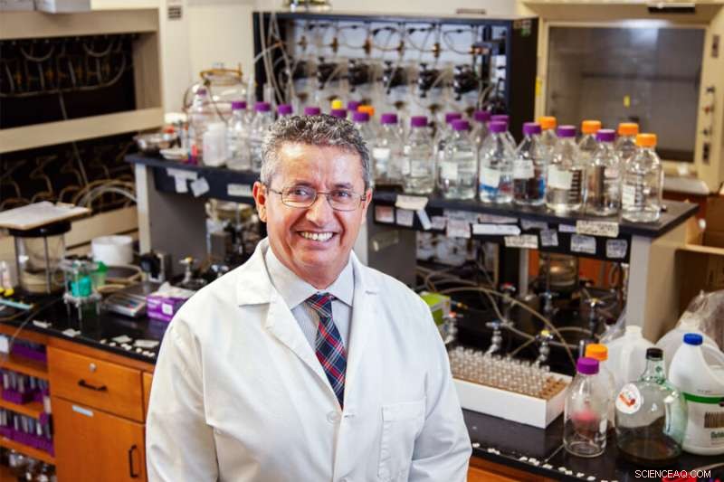 Innovative Strategies to Cut Greenhouse Gas Emissions from Landfills