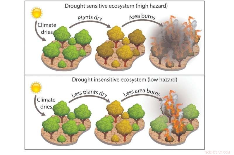 Rapid Population Growth in Western Wildland Fringes Heightens Wildfire Risks