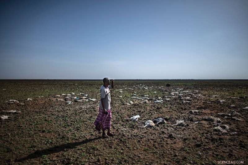 UN Warns 13 Million at Risk of Hunger as Horn of Africa Drought Escalates