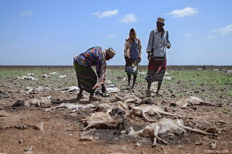 UN Warns 13 Million at Risk of Hunger as Horn of Africa Drought Escalates