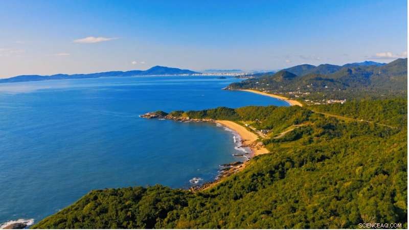 Only 15% of the World’s Coasts Are Intact—Urgent Conservation Required