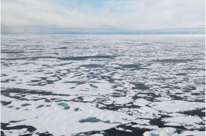 Unveiling Tomorrow’s Arctic: Expert Analysis from the MOSAiC Expedition