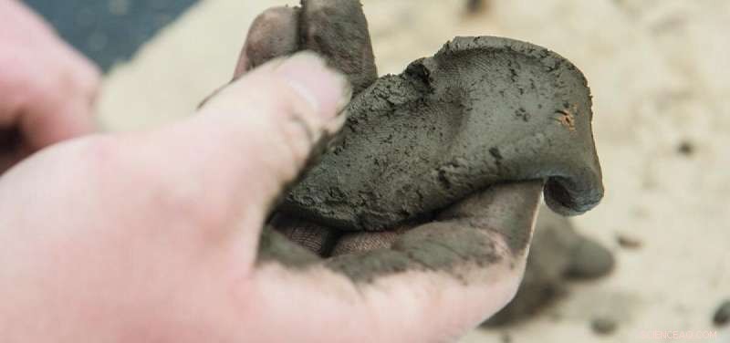 Clay Soils: The Enduring Challenge for Home Gardeners