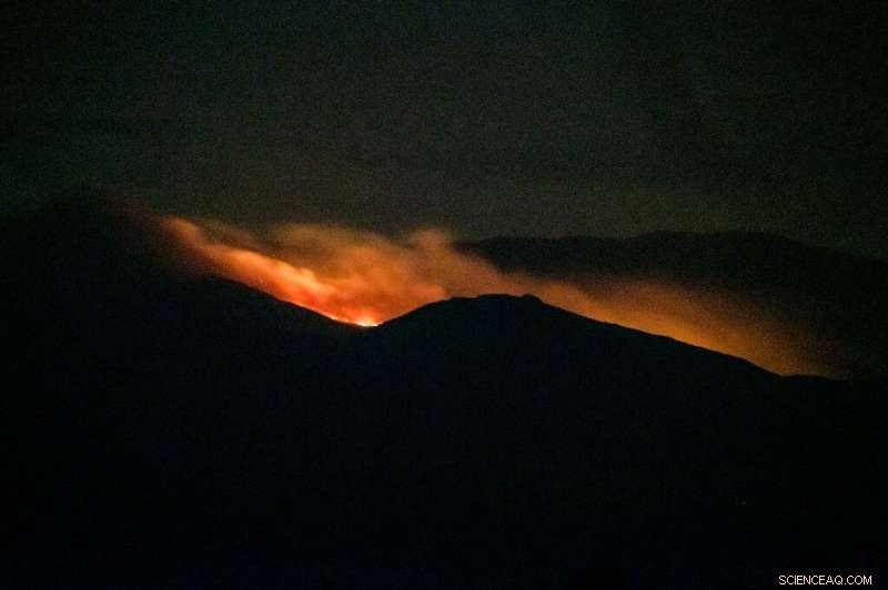 Aberdare National Park Battles Intense 24‑Hour Forest Fire