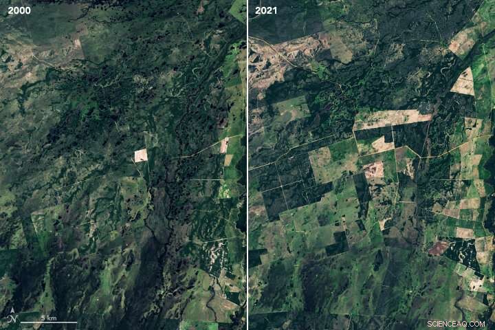 Human Impact on the Pantanal: Balancing Conservation and Development